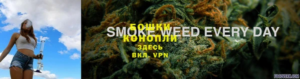 твердый Бородино