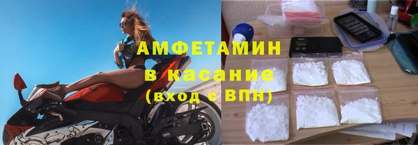 твердый Бородино