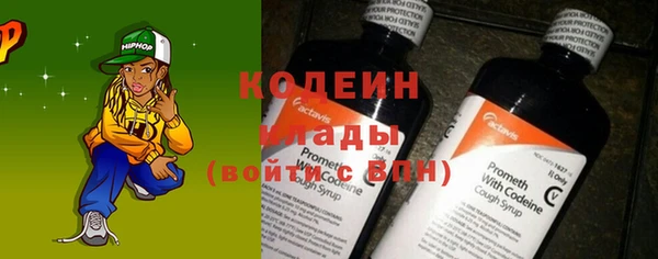 спиды Богданович