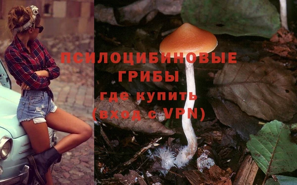 твердый Бородино