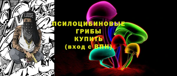 гидра Белокуриха