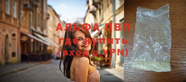 спиды Богданович