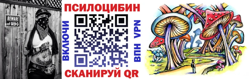 Галлюциногенные грибы Psilocybine cubensis  Бежецк 